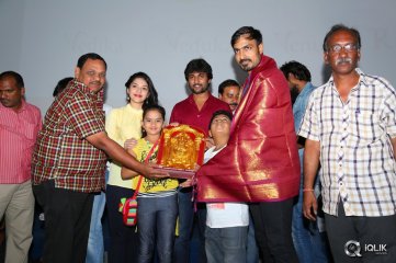 Krishna Gadi Veera Prema Gaadha Movie Success Tour